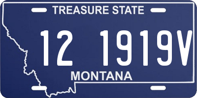 MT license plate 121919V