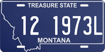 MT license plate 121973L