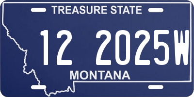 MT license plate 122025W