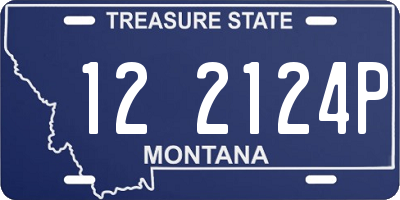 MT license plate 122124P
