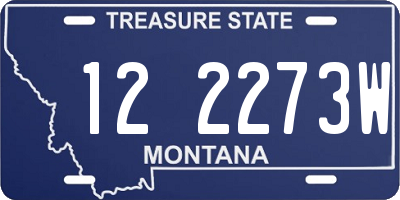 MT license plate 122273W