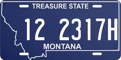 MT license plate 122317H