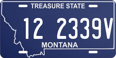 MT license plate 122339V
