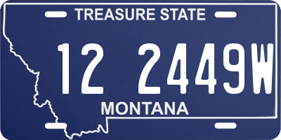 MT license plate 122449W