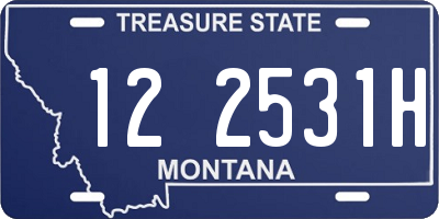 MT license plate 122531H