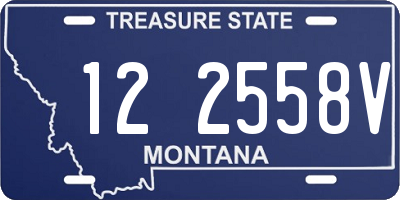 MT license plate 122558V