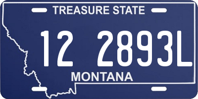 MT license plate 122893L
