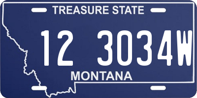 MT license plate 123034W