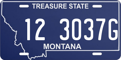 MT license plate 123037G