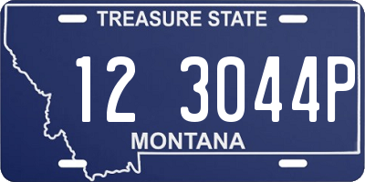 MT license plate 123044P
