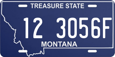 MT license plate 123056F