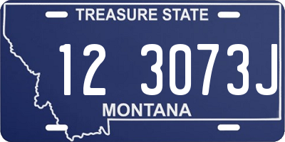 MT license plate 123073J
