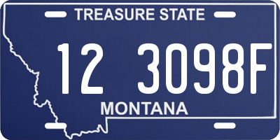 MT license plate 123098F