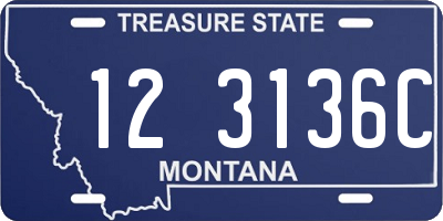 MT license plate 123136C
