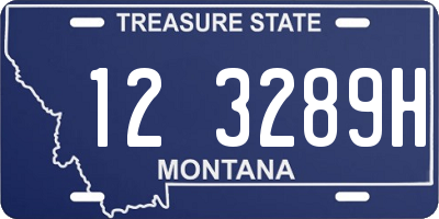 MT license plate 123289H
