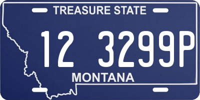 MT license plate 123299P