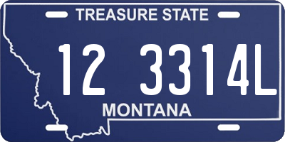 MT license plate 123314L