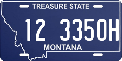 MT license plate 123350H