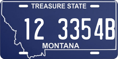 MT license plate 123354B