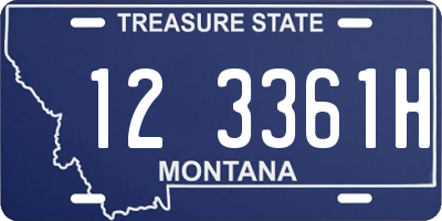 MT license plate 123361H