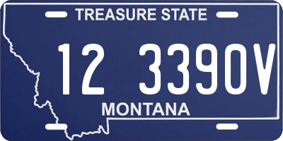 MT license plate 123390V