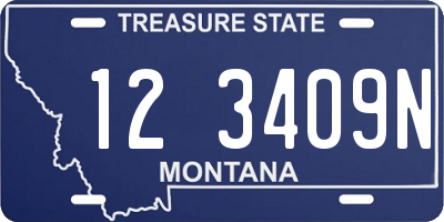 MT license plate 123409N