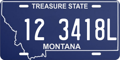 MT license plate 123418L