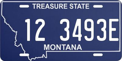MT license plate 123493E