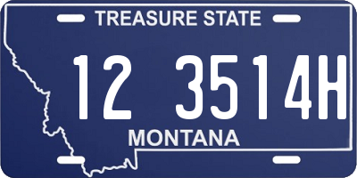 MT license plate 123514H