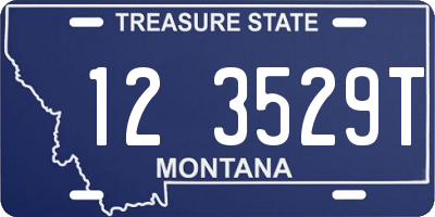 MT license plate 123529T