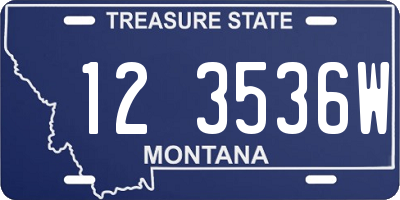 MT license plate 123536W