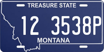 MT license plate 123538P