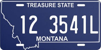 MT license plate 123541L