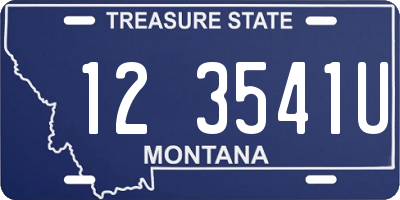 MT license plate 123541U