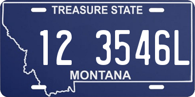 MT license plate 123546L
