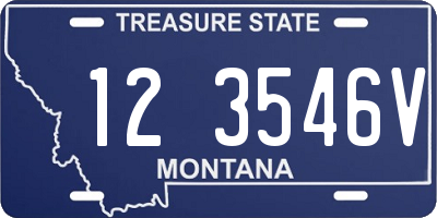 MT license plate 123546V