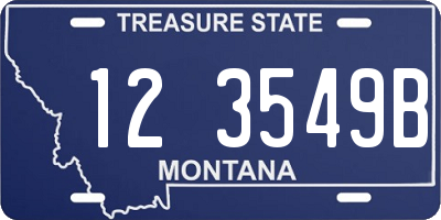 MT license plate 123549B