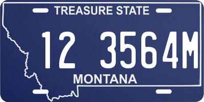MT license plate 123564M