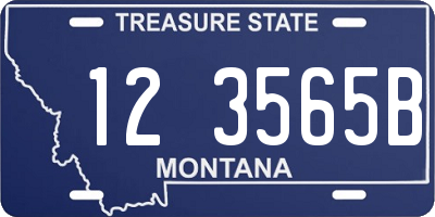 MT license plate 123565B