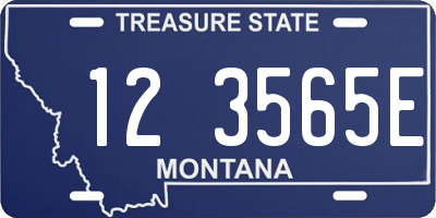 MT license plate 123565E