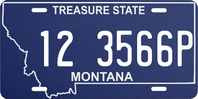 MT license plate 123566P
