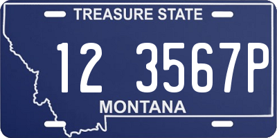 MT license plate 123567P