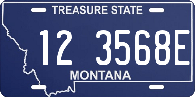 MT license plate 123568E