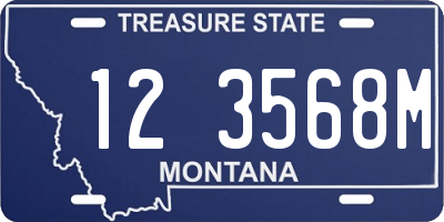 MT license plate 123568M