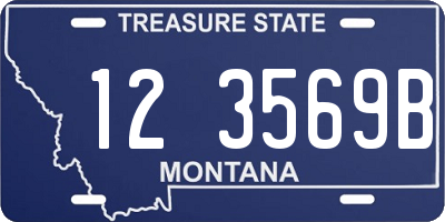 MT license plate 123569B
