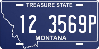 MT license plate 123569P