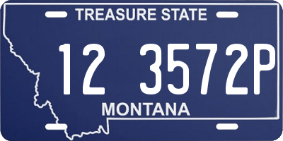 MT license plate 123572P