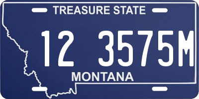 MT license plate 123575M