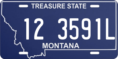 MT license plate 123591L