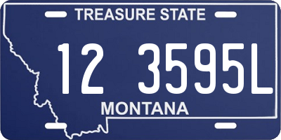 MT license plate 123595L